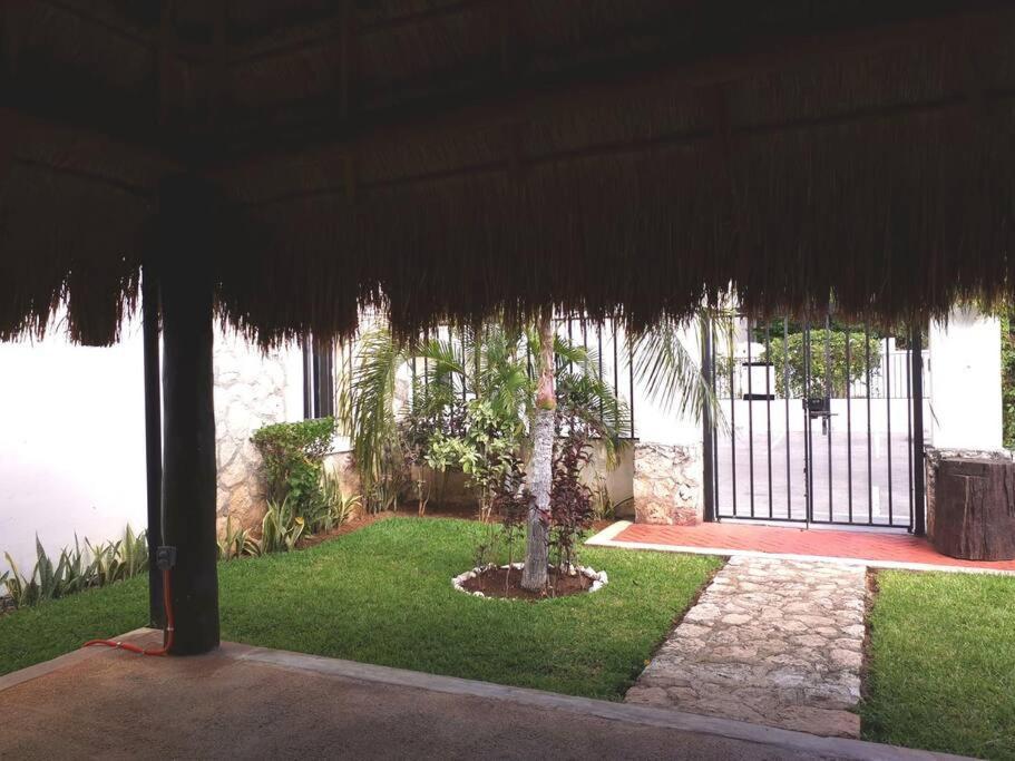 Hermoso Departamento Totalmente Equipado Πλάγια Ντελ Κάρμεν Εξωτερικό φωτογραφία
